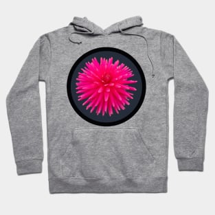 Pink Cactus Dahlia Flower Circle Frame Hoodie